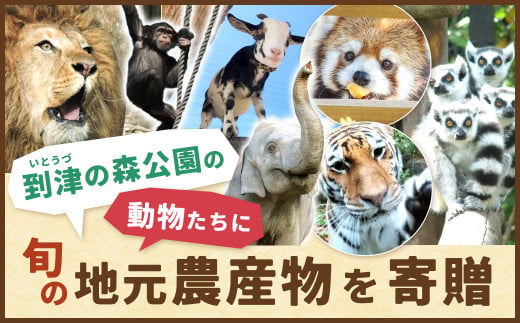 ふるさと納税により、地元の旬な農産物を「到津の森公園」の動物たちに届けます!