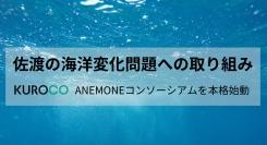 佐渡の海洋変化問題への取り組み ― KUROCO株式会社、ANEMONEコンソーシアムの取り組みを4月から本格始動