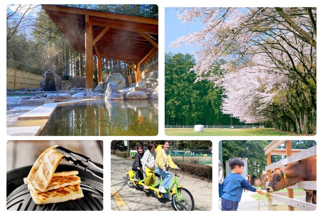 【那須千本松牧場で春を満喫】桜のトンネル、露天風呂、新商品も!見逃せない春の楽しみ5選