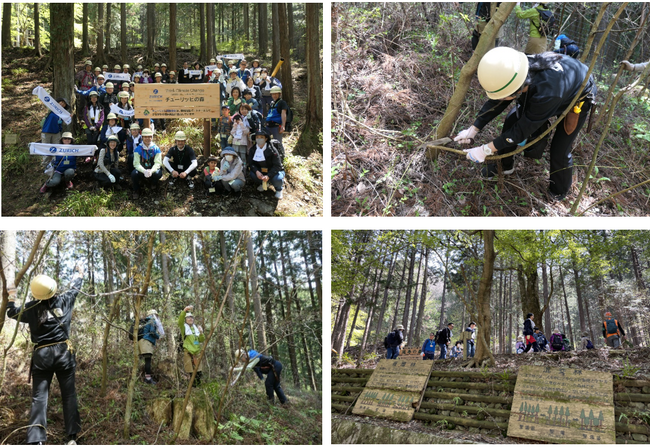 神奈川県の「チューリッヒの森」プロジェクトで社員によるボランティア活動を実施