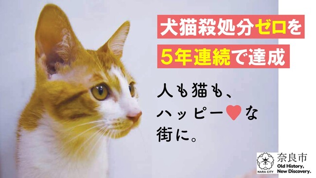【奈良市】犬猫殺処分ゼロを5年連続で達成しました