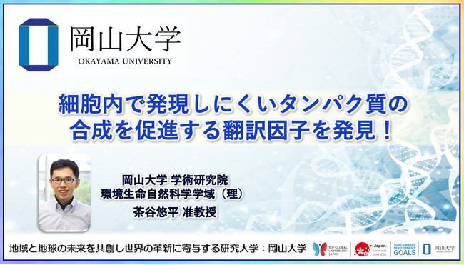 【岡山大学】細胞内で発現しにくいタンパク質の合成を促進する翻訳因子を発見!