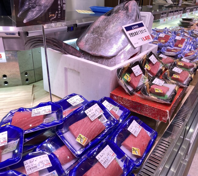 【阪神梅田本店】本年初水揚げ!鳥取県・境港から「天然生本マグロ」が到着しました