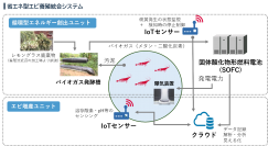 日本初!グリーンエネルギーとIoTを活用したエビ養殖に挑戦