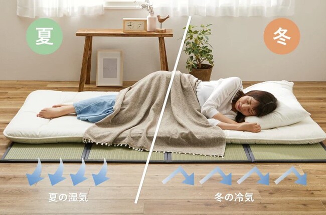 【打倒カビ!湿気対策に】布団にカビを生やしたくないなら!水拭きできる畳マットレス