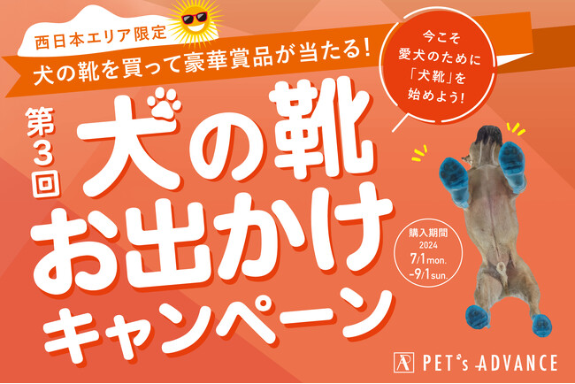 西日本限定!犬の靴お出かけキャンペーン開催!