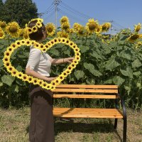 【群馬県玉村町】ひまわりまつり初開催!