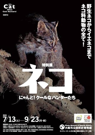 【コラボ情報更新・7月13日いよいよ開幕!】特別展「ネコ」 ~にゃんと!クールなハンターたち~