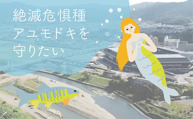 京都府亀岡市、絶滅危惧種アユモドキをまもるクラウドファンディングを開始!