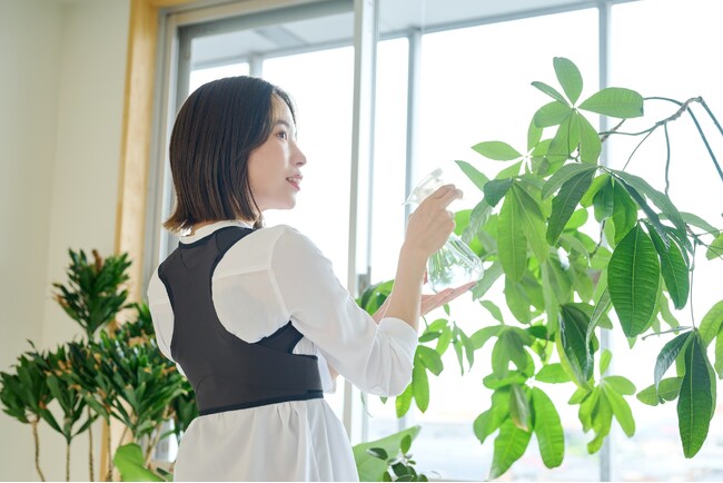 海外向け仕様から改良!「bonbone 姿勢すらっと薄軽サポーター」日本市場に本格登場