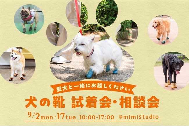 愛犬にあった靴が見つかる! 犬の靴 試着会・相談会