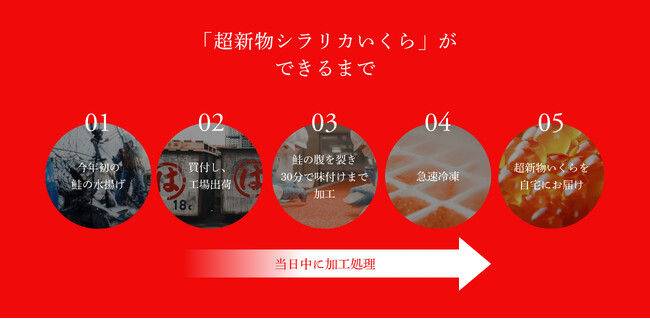北海道白糠町の人気返礼品「シラリカいくら」に、希少な「超新物」が登場!