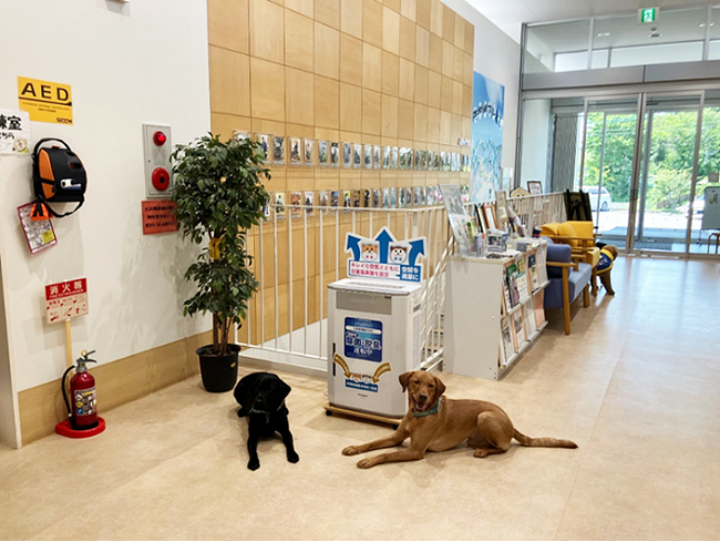 日本介助犬協会に業務用 次亜塩素酸 空間除菌脱臭機「ジアイーノ」を寄贈