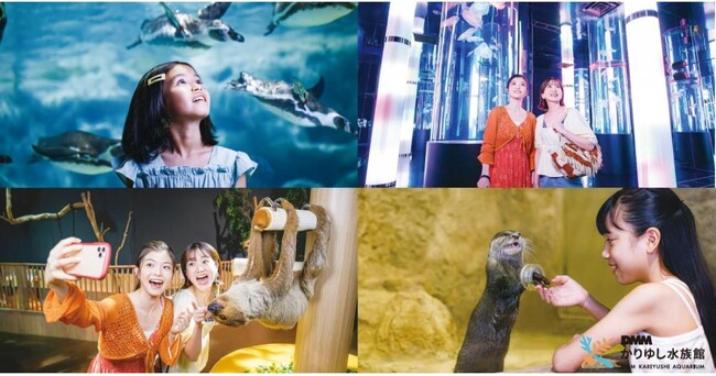 【DMMかりゆし水族館】夏休みの入館者数が過去最高の10万人超えを達成!