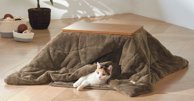 ペット専用のこたつをディノスが新発売!ヒーターなどの熱源を使わない自然なあたかかさで、お留守番時も安心!