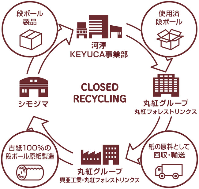 使用済み段ボールのクローズドリサイクルによる梱包用段ボールの提供開始について