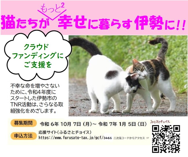 不幸な命をこれ以上増やさないために-伊勢市のTNR活動、猫の不妊去勢手術推進事業への寄附をお願いします
