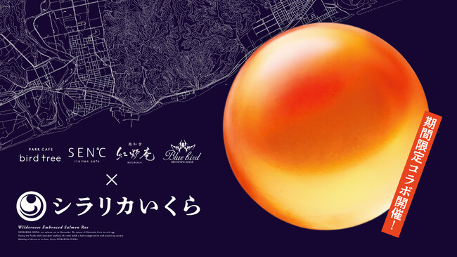 希少な「シラリカいくら」が関西初登場! 大阪の人気店で特別コラボメニューを提供
