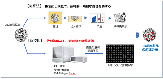 サイフューズとSCREEN 細胞・組織の品質評価に関する新技術のイノベーションを実現