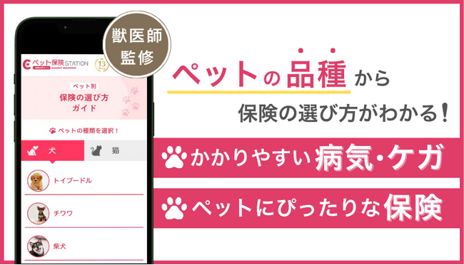 【獣医師監修】ペットの品種から保険の選び方がわかる!新コンテンツ公開