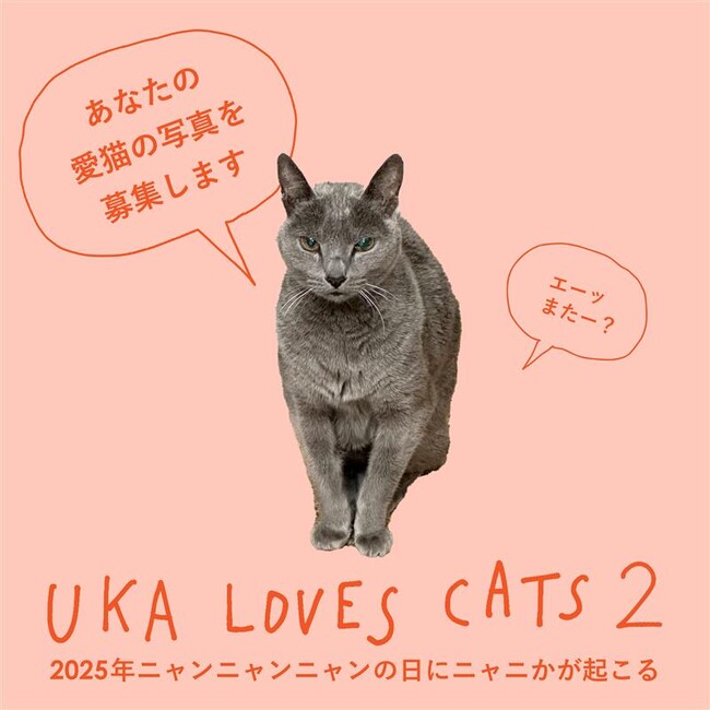 2025年ニャンニャンニャンの日にニャニかが起こる。あなたの愛猫の写真を大募集!