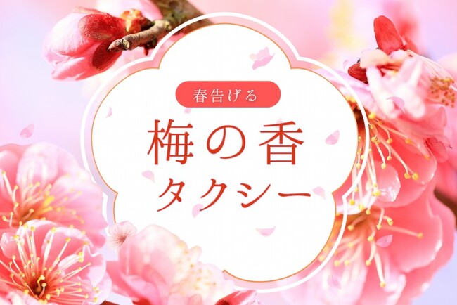 日本交通・東京観光タクシーで、ひと足早い“お花見”を 「梅の香タクシー」期間限定運行