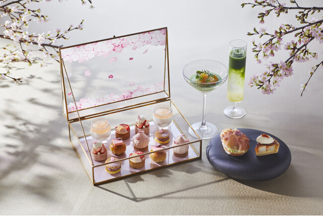 【W大阪】春爛漫!W大阪でお花見を