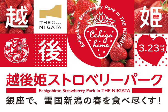 銀座で越後姫を食べ尽くす!「越後姫ストロベリーパーク in THE NIIGATA」開催!