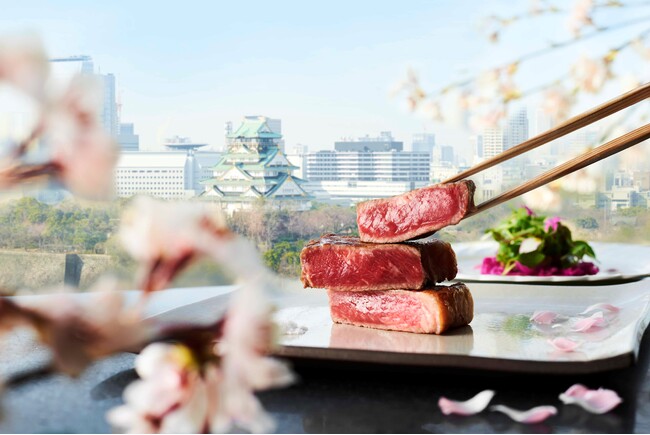 お花見&グルメを満喫!満開の桜とともに愉しむ、春限定メニューが登場!