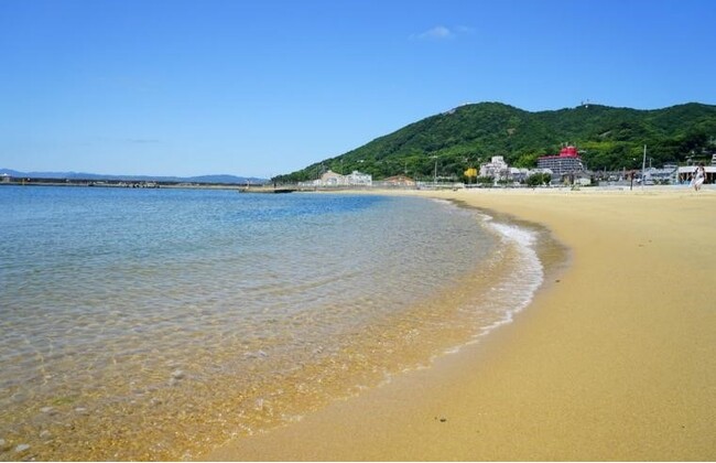 須磨海岸のブルーカーボンがクレジット認証され、公募を開始します