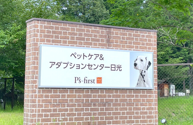 ペッツファーストグループ 里親探し活動レポート 2025年2月度