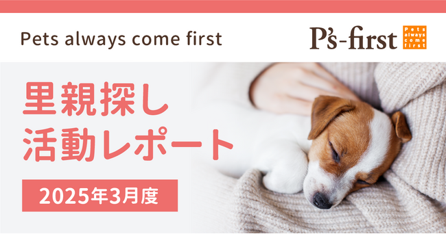 ペッツファーストグループ 里親探し活動レポート 2025年3月度