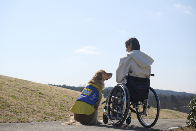 【無料オンライン開催】6月22日(日)「介助犬相談会」のご案内