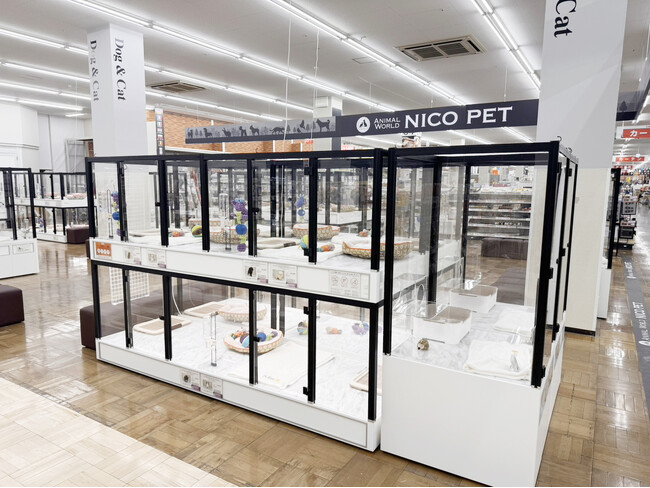 P’s-first東大阪店オープンのお知らせ