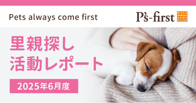 ペッツファーストグループ 里親探し活動レポート 2025年6月度