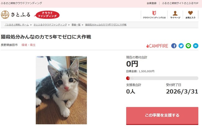 長野県飯田市とさとふる、猫殺処分を減らすため寄付受け付けを開始