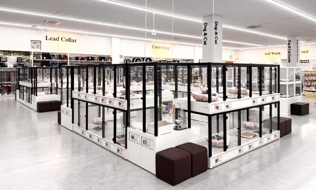 P’s-first須坂店オープンのお知らせ