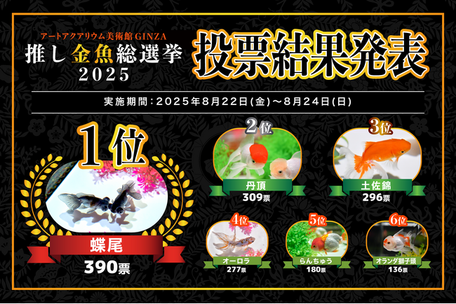 「推し金魚総選挙2025」結果発表今年の人気No.1金魚は“蝶尾”に決定!