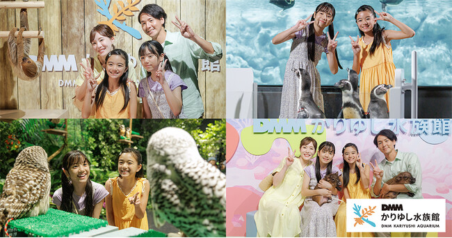【DMMかりゆし水族館】夏休みの入館者数が過去最高の16万人超えを達成!