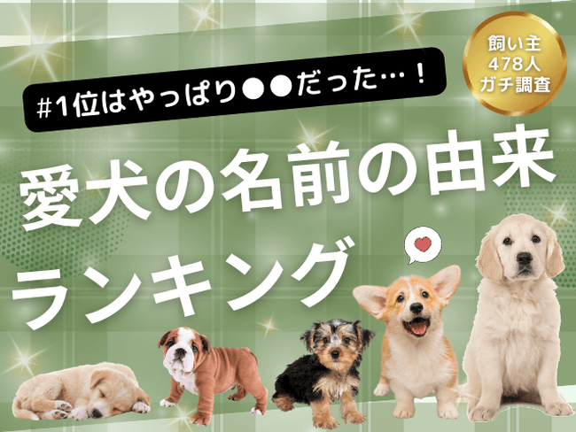 【飼い主478人に調査】やっぱり一番は●●だった!愛犬の名前に隠された由来ランキング