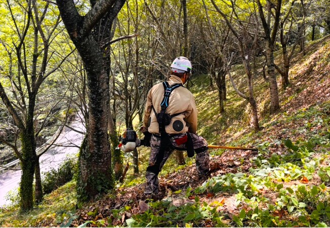 林業の人手不足と腰痛課題に挑む 香川西部森林組合がアシストスーツを導入