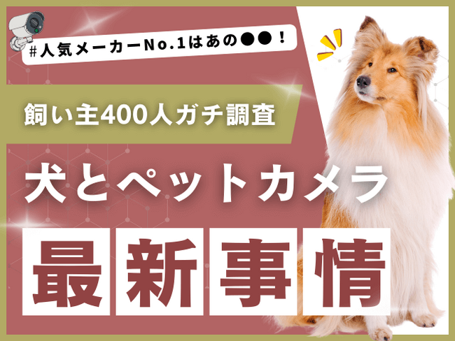 【飼い主400人に調査】犬とペットカメラ、利用率はまさかの●割!人気No.1メーカーも明らかに
