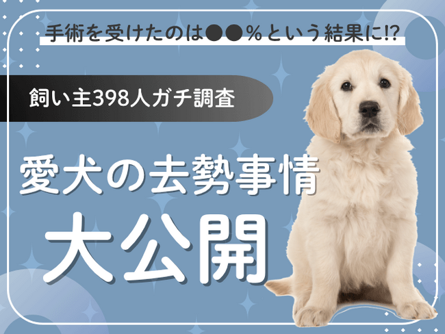 【飼い主398人に調査】愛犬の去勢に踏み切ったのは●●%!葛藤と安心のリアルエピソード集