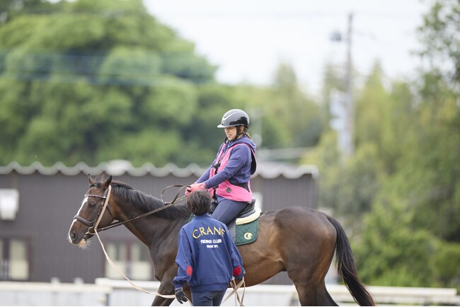 【そごう・西武】2026年福袋