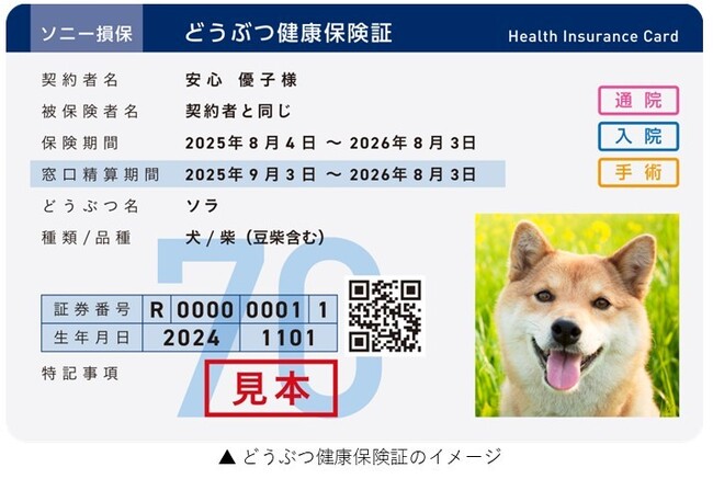 ソニー損保とアニコム損保が共同でペット保険の販売を開始