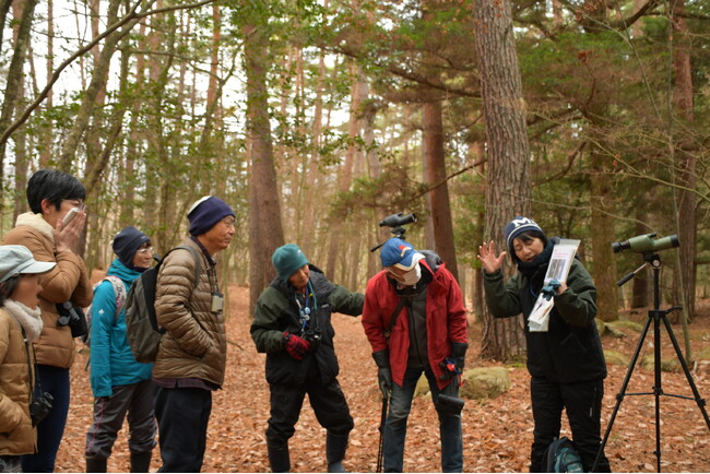 テーマは“冬鳥”と“混群”「野鳥観察会(冬鳥編)」参加者募集|国営アルプスあづみの公園【大町・松川地区】