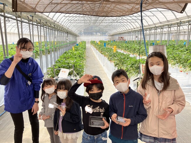 【こどもの休日の過ごし方】春の1dayキャンプ~いちご狩り&立体迷路チャレンジ編~