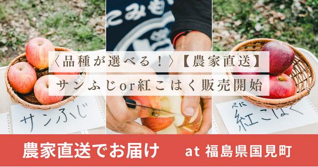 【農家直送でお届け】家庭用~大容量サイズのサンふじor紅こはく販売開始