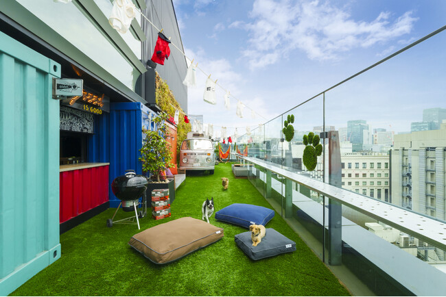 【アロフト東京銀座】初の屋上ドッグランを公開