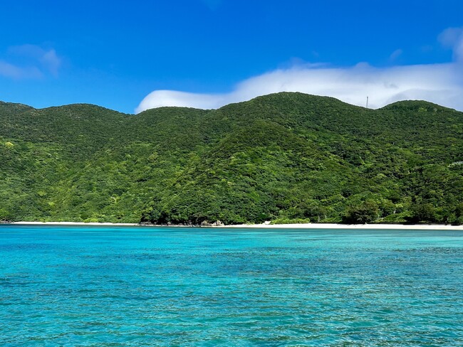 FP事務所ウィンカムが奄美大島で「海洋散骨」を開始